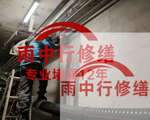 孝感电缆线空洞堵漏加固案例