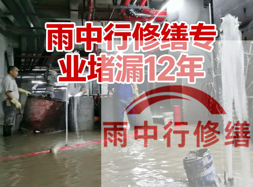 孝感中国五矿某大型污水处理厂堵漏案例